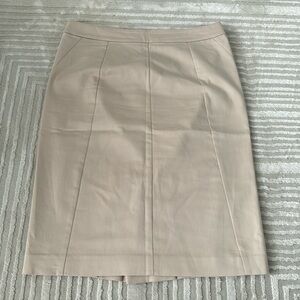 Ann Taylor Beige Skirt